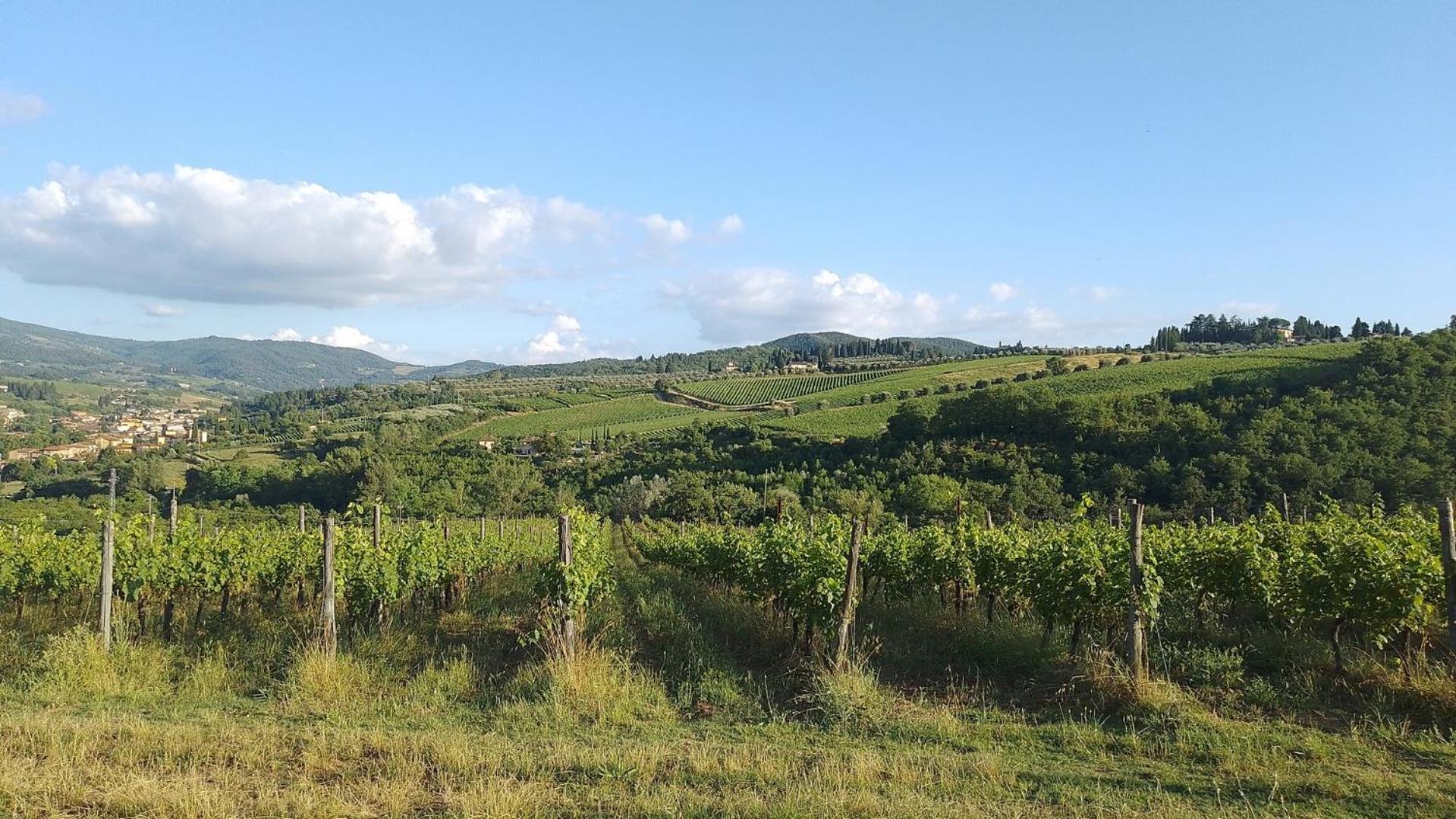 La Turra - Casa Di Campagna Greve in Chianti Esterno foto