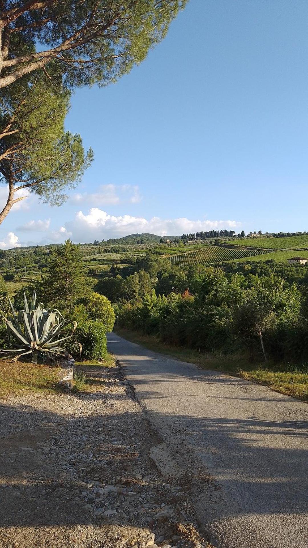 La Turra - Casa Di Campagna Greve in Chianti Esterno foto