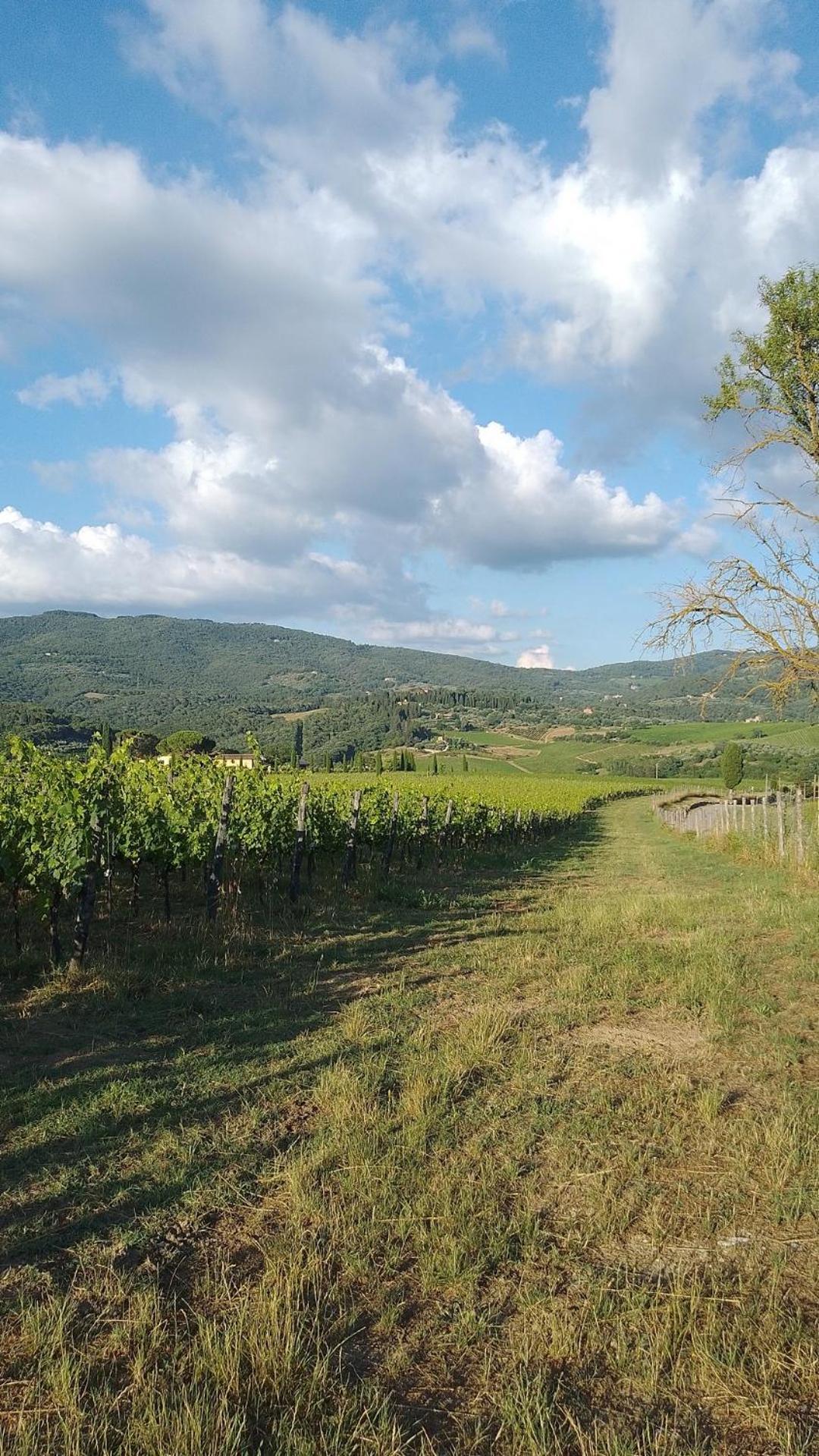 La Turra - Casa Di Campagna Greve in Chianti Esterno foto